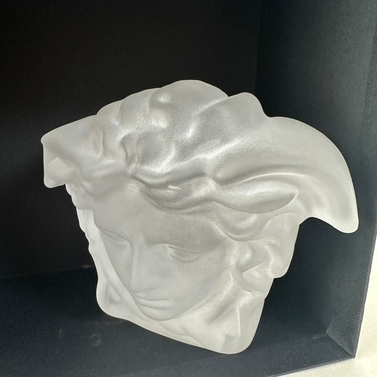Medusa Lumiere - Paperweight - Matte