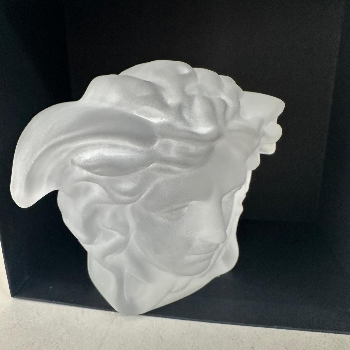 Medusa Lumiere - Paperweight - Matte