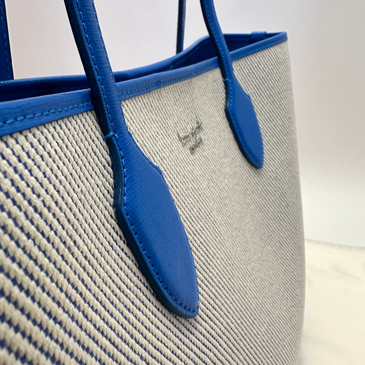 Bleecker Large Canvas Tote blue white